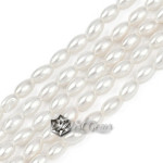 Margele "Boaba de Orez" din Sidef de Scoica ,5X3mm,Alb-10 buc